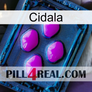 Cidala 04
